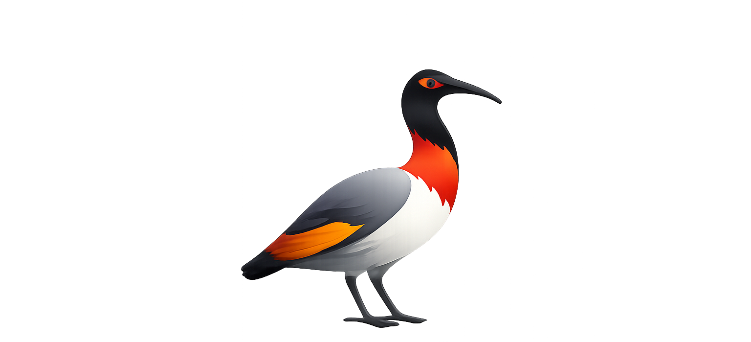Piuquén